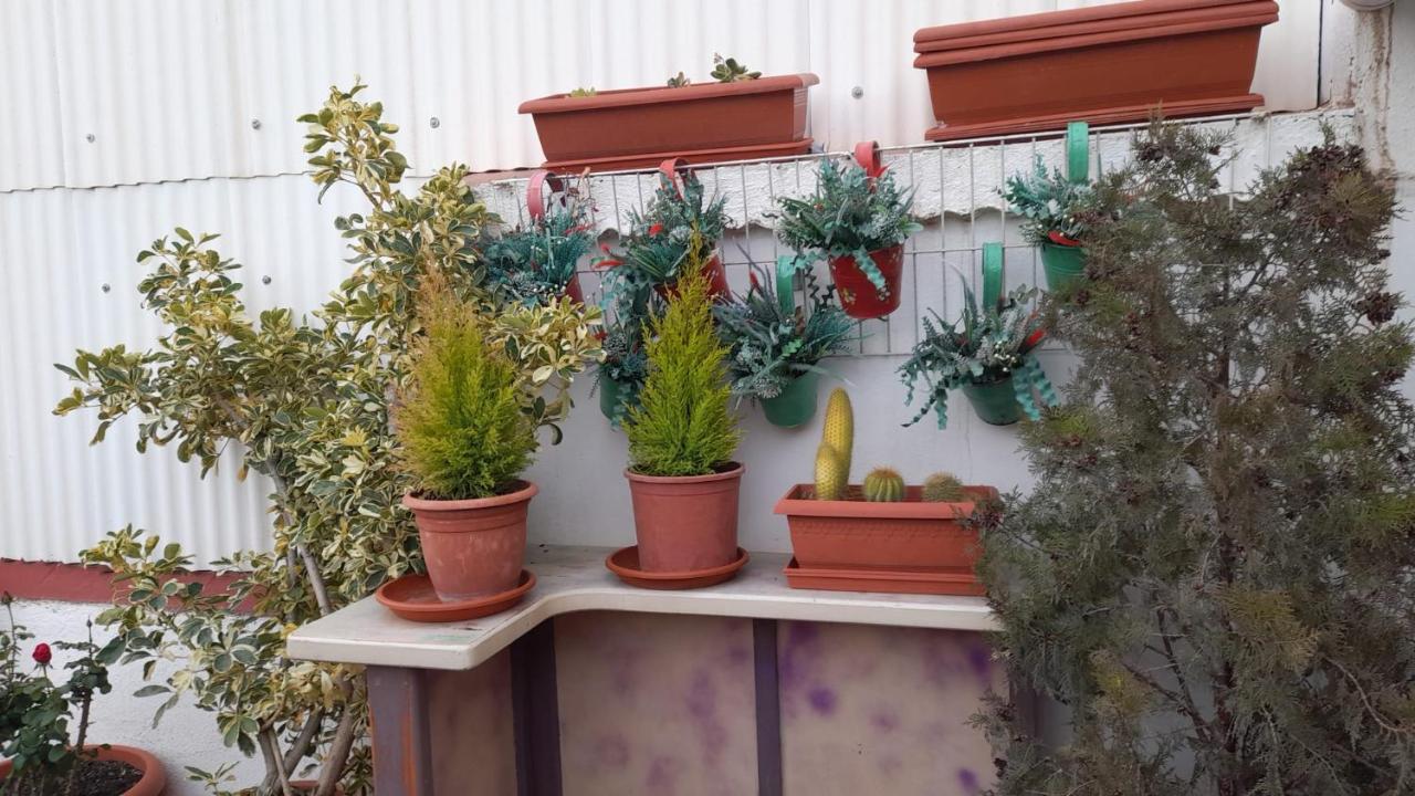 La Terraza Appartement Vinarós Buitenkant foto